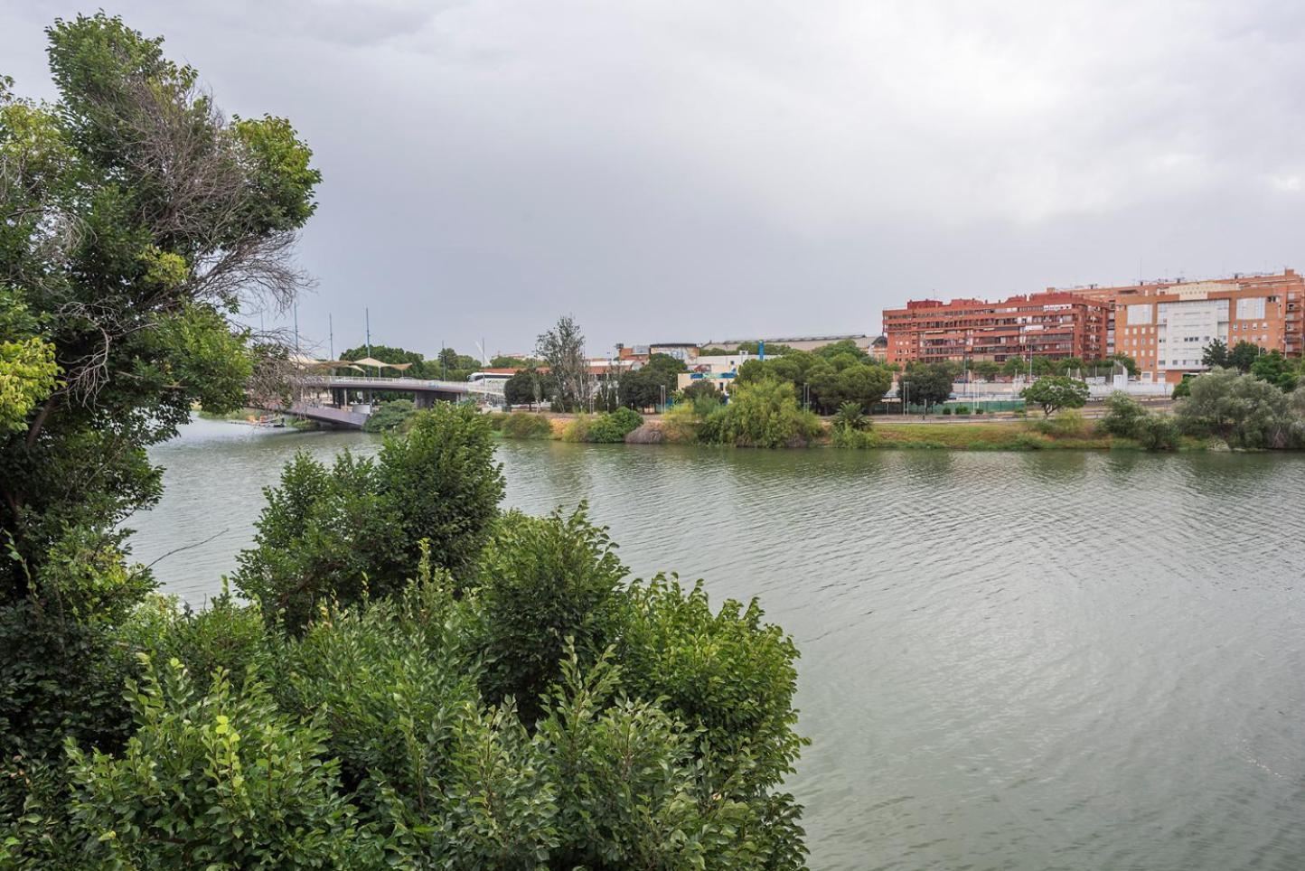 Alohamundi Castilla V-Vi Sevilla Kültér fotó